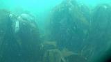 2009-09-23 11-53-05 07L